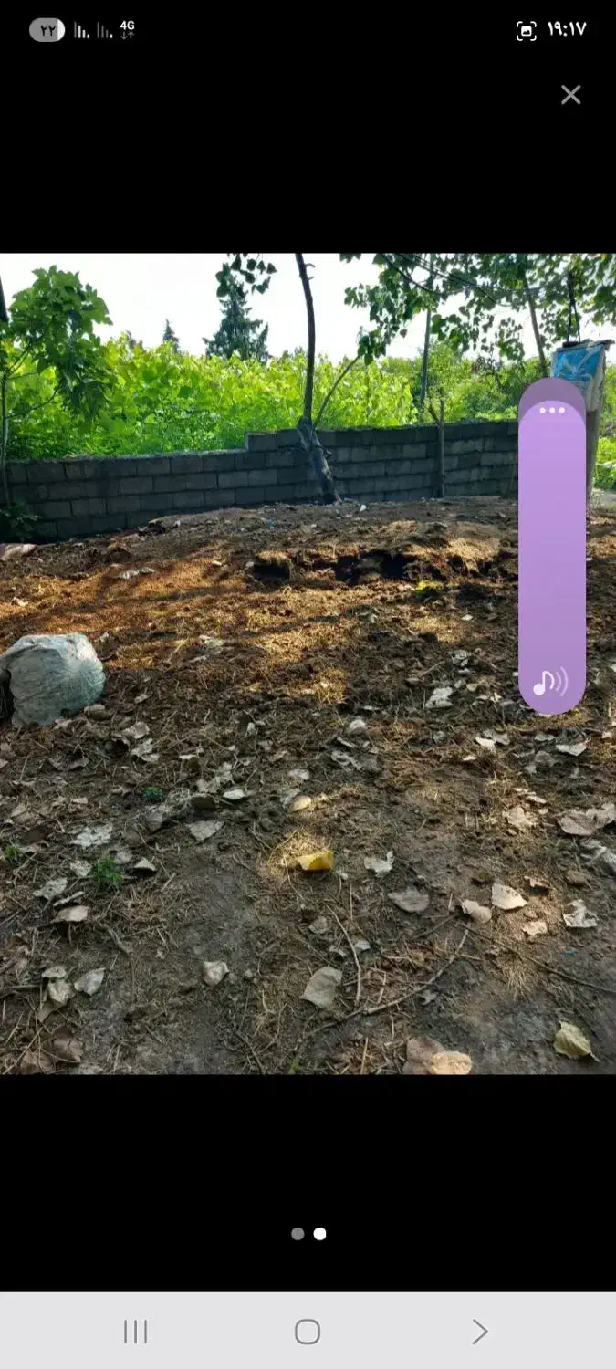 فروش خاک باغچه کود حیوانی خاک برگ....|خدمات باغبانی و درختکاری|چاف و چمخاله, |دیوار