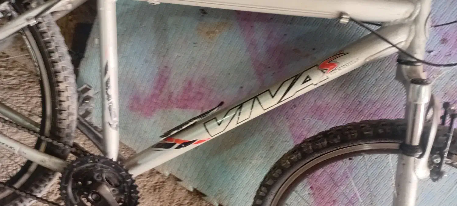 دوچرخه ویوا|دوچرخه، اسکیت، اسکوتر|محمدشهر, کوی بهار|دیوار