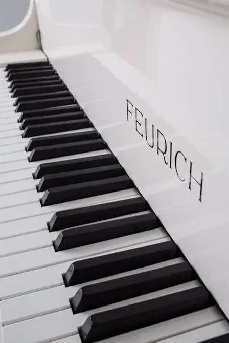 آموزش موسیقی در منزل|خدمات آموزشی|تهران, تجریش|دیوار