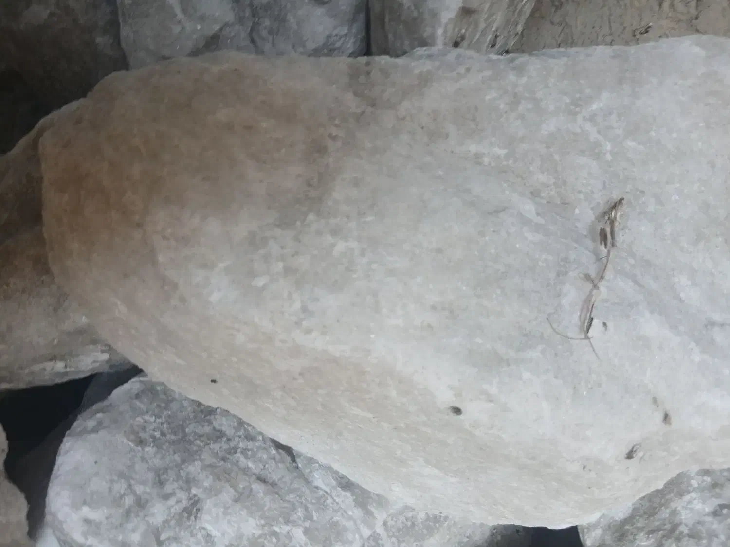 سنگ نمک سفید|لوازم جانبی حیوانات|گلپایگان, |دیوار