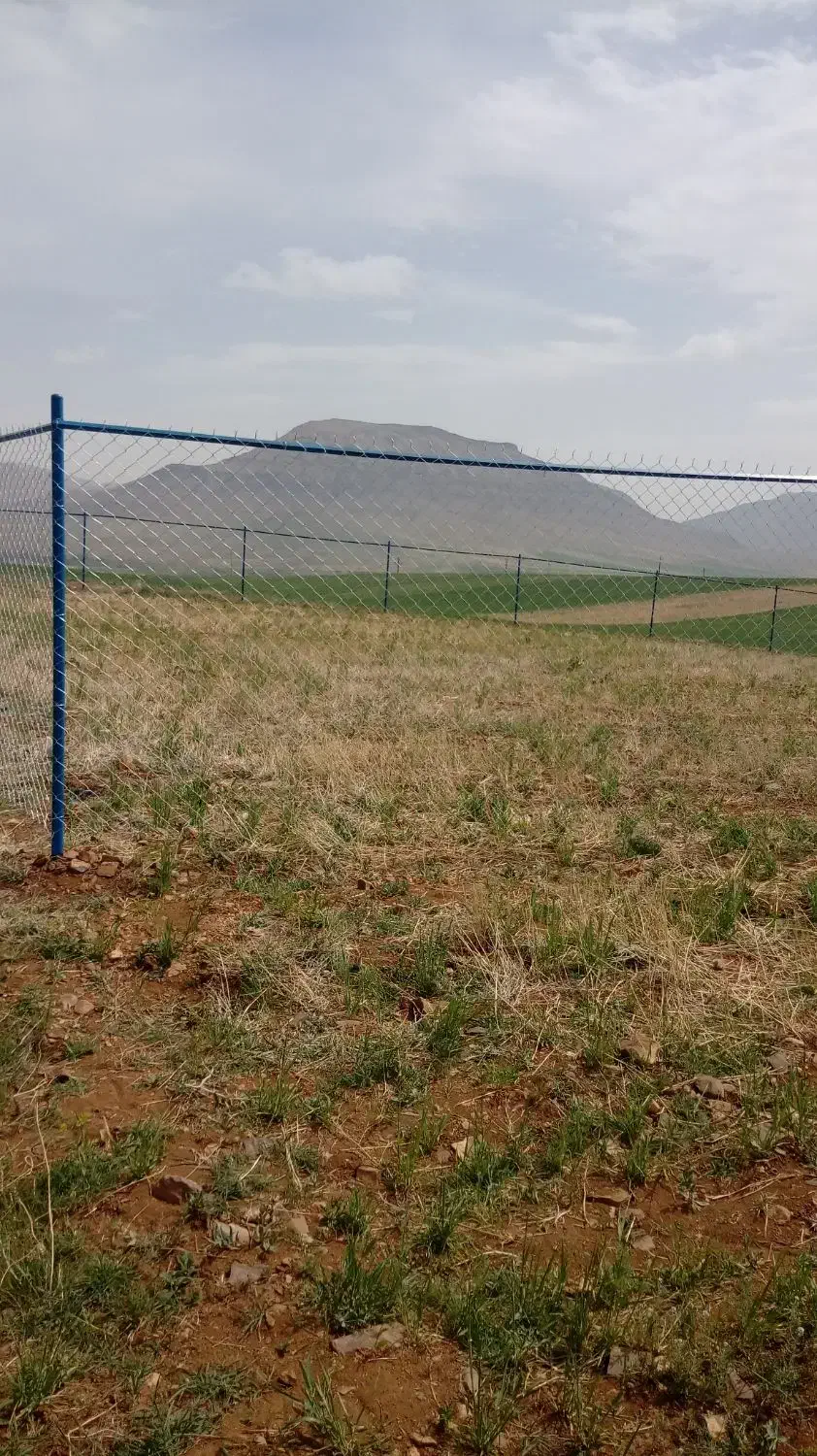 زمین فنس کشی ۷۰۰ متر مربع در چشمه پهن|فروش زمین و ملک کلنگی|اراک, |دیوار