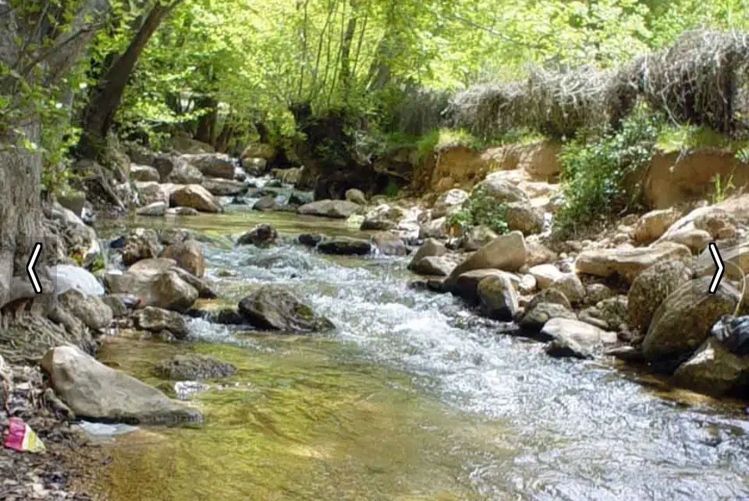 توریه روزه مختص خانم ها روستای زیبای پسکوهک|تور و چارتر|شیراز, پانصد دستگاه ارتش|دیوار