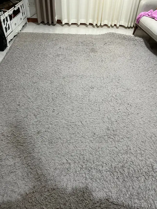 فرش ۹ متری|فرش|گنبد کاووس, |دیوار