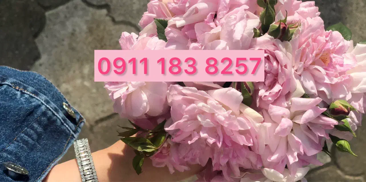 0911 183 8257|سیمکارت|رشت, بلوار گیلان|دیوار