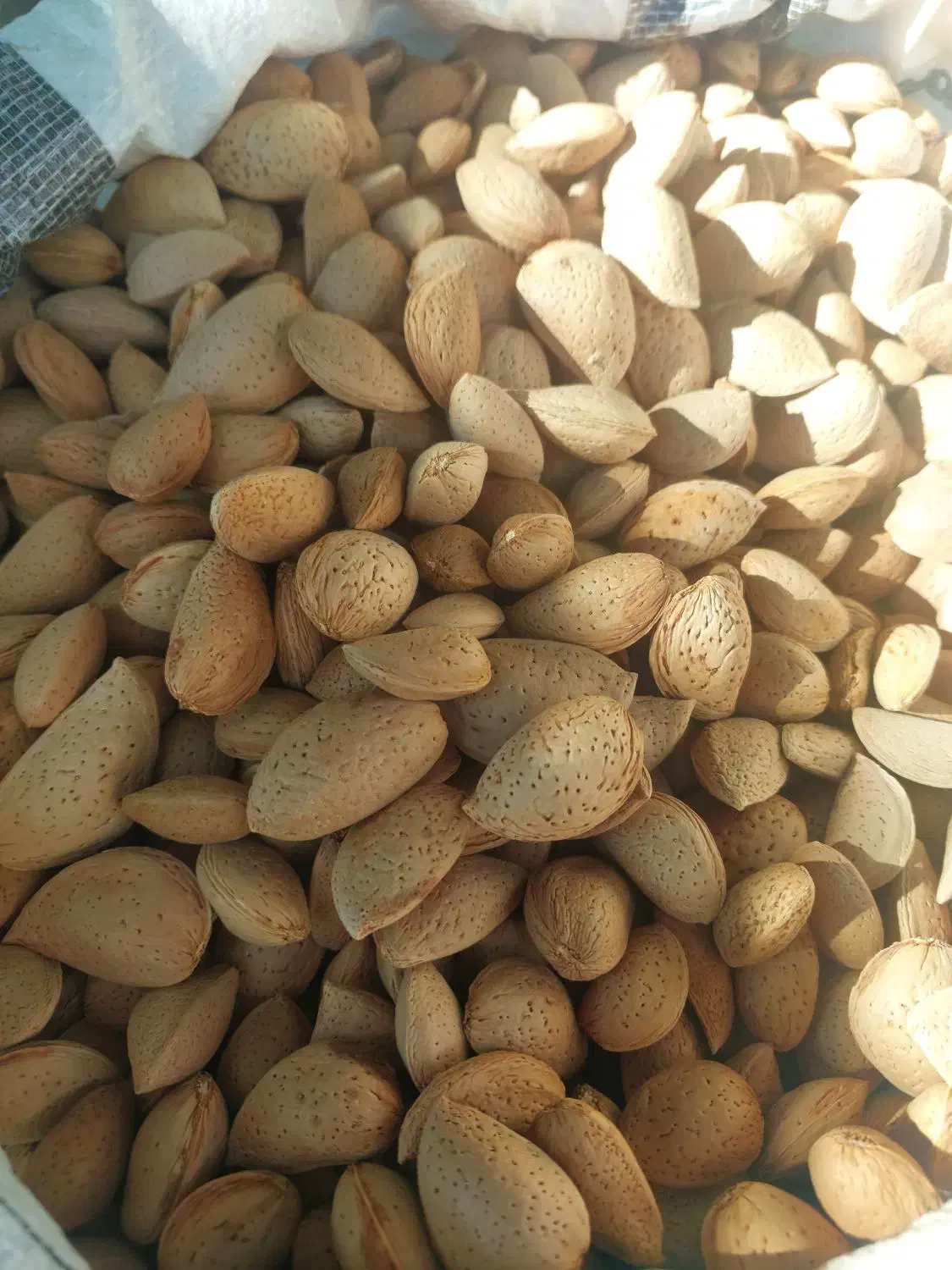 بادام|خوردنی و آشامیدنی|قم, شهرک امام حسن|دیوار