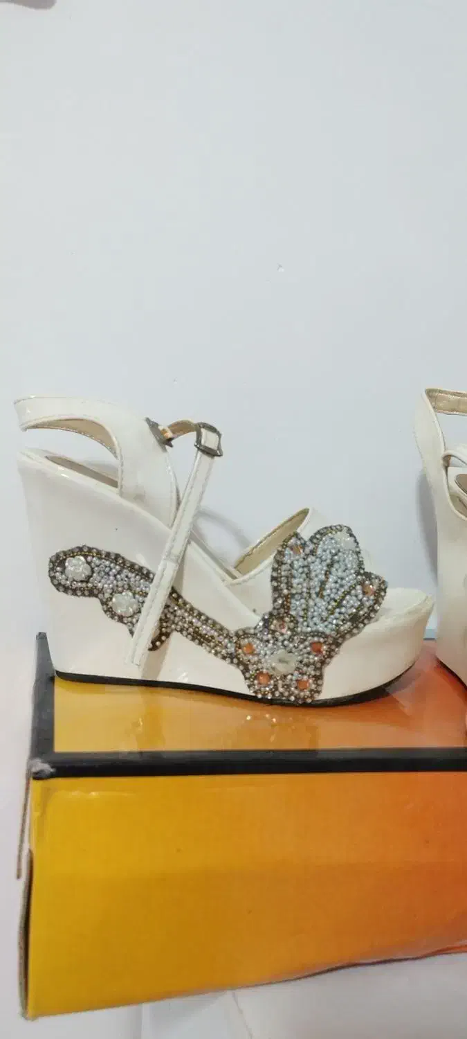 کفش مجلسی|کیف، کفش، کمربند|کرمان, |دیوار