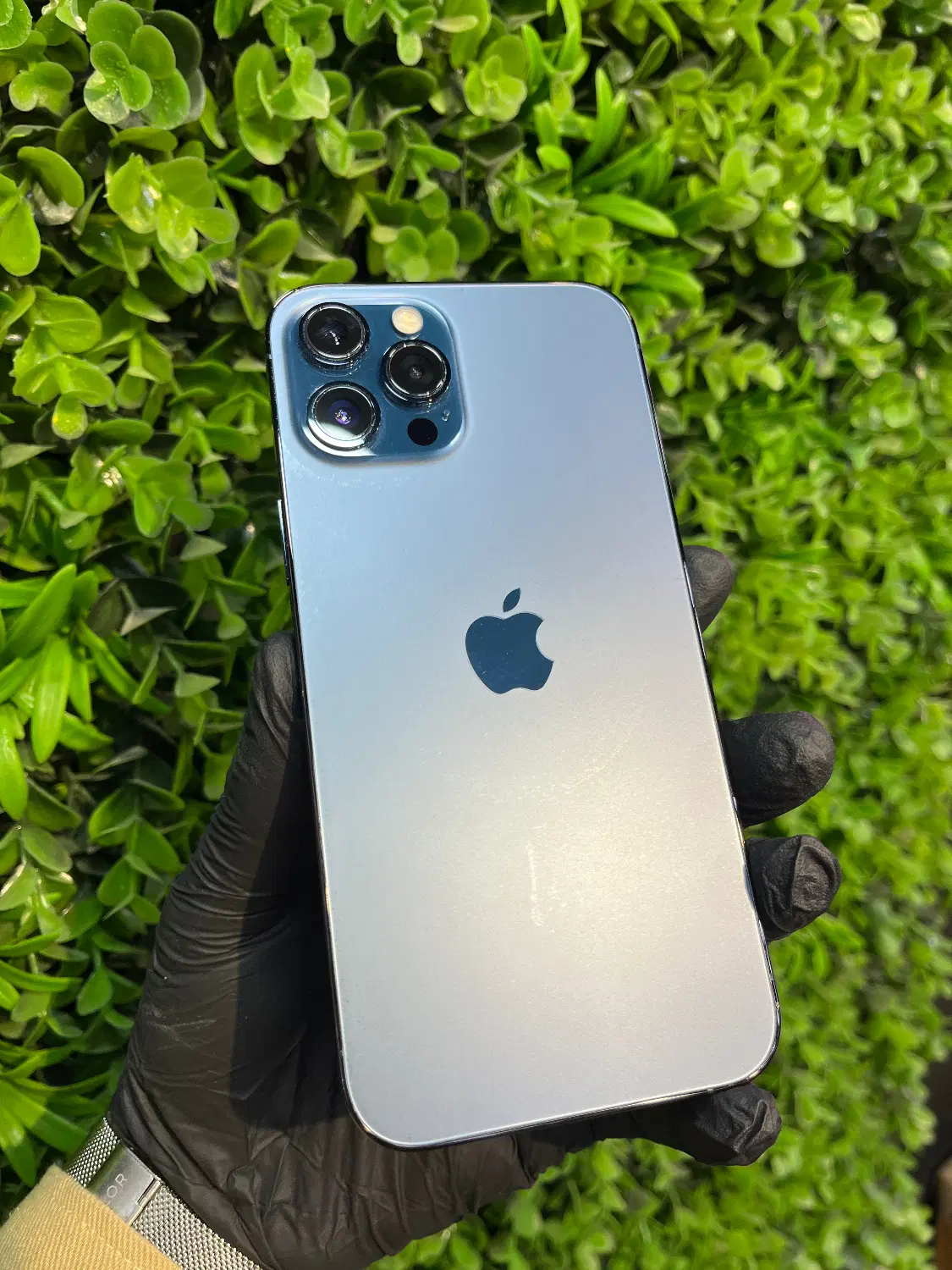 iPhone 12 Pro Max 256GB|موبایل|قم, بلوار امین و ساحلی|دیوار