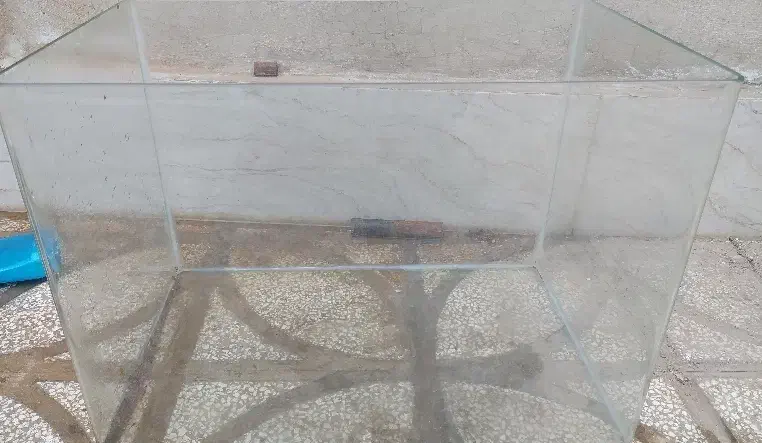 آکواریوم|ماهی|گناباد, |دیوار