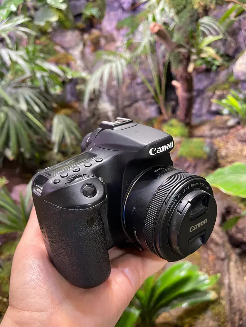 دوربین کانن d70 در حد آک با لنز 50به همراه سه پایه|دوربین عکاسی و فیلم‌برداری|شیراز, قدوسی شرقی|دیوار