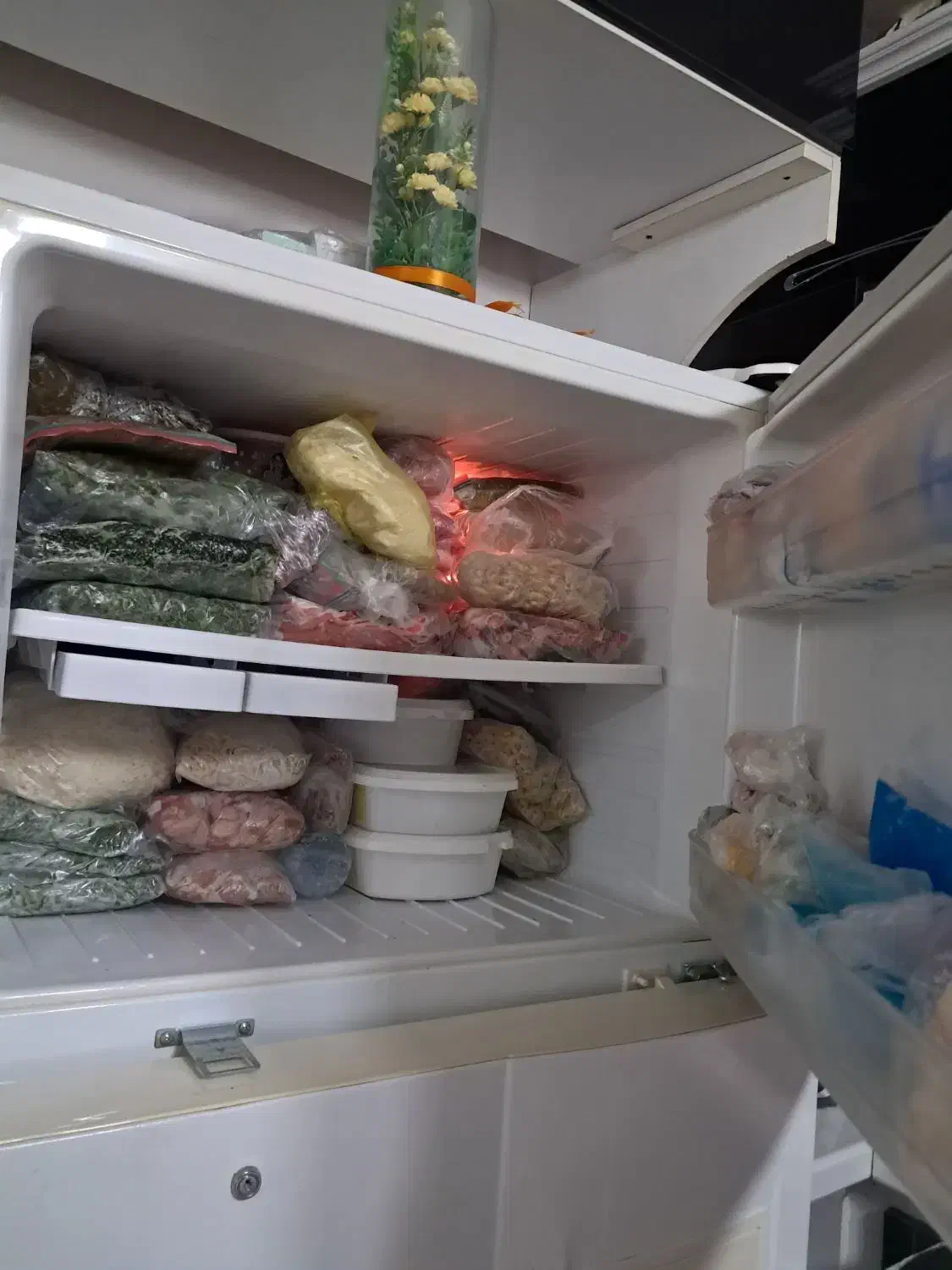 یخچال دوو کاملا سالم و بی نقص درحد نو|یخچال و فریزر|رشت, باهنر|دیوار