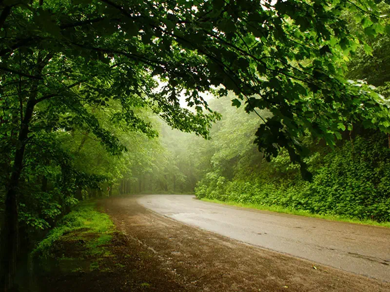 تور یک روزه فرداجمعه 14 آذر|تور و چارتر|رشت, لاکان شهر|دیوار