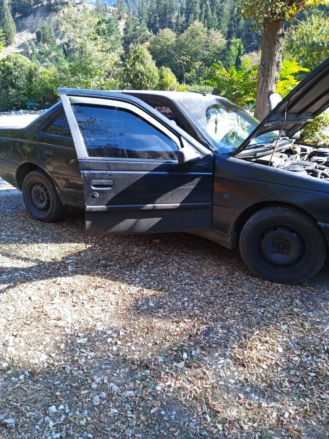 فروش فوری|خودرو سواری و وانت|مرزن‌آباد, |دیوار