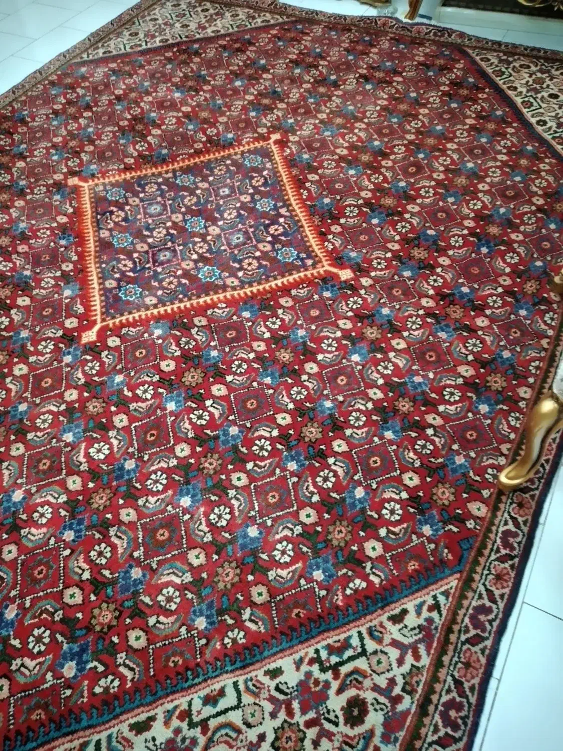 فرش ۶ متری دستبافت|فرش|تهران, سردارجنگل|دیوار