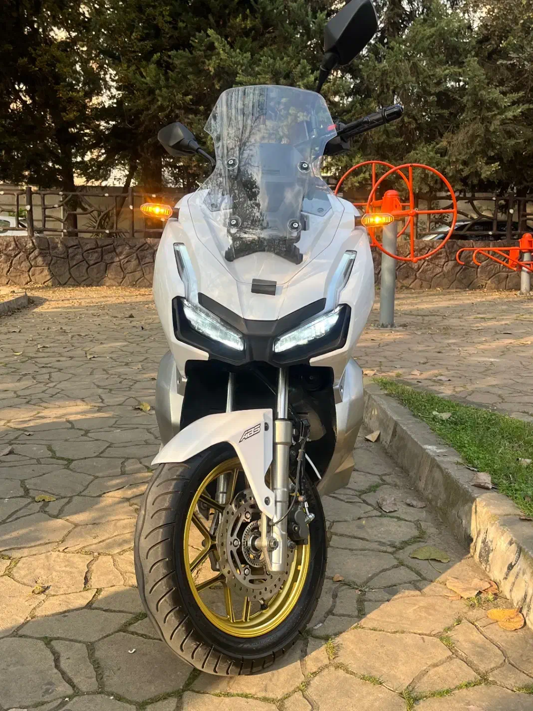 Adv ای دی وی کبیر فول|موتورسیکلت|رشت, فلسطین|دیوار