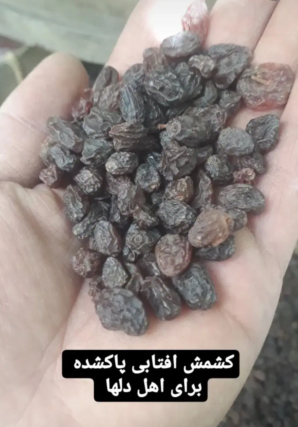 کشمش پلویی|خوردنی و آشامیدنی|تهران, هفت چنار|دیوار