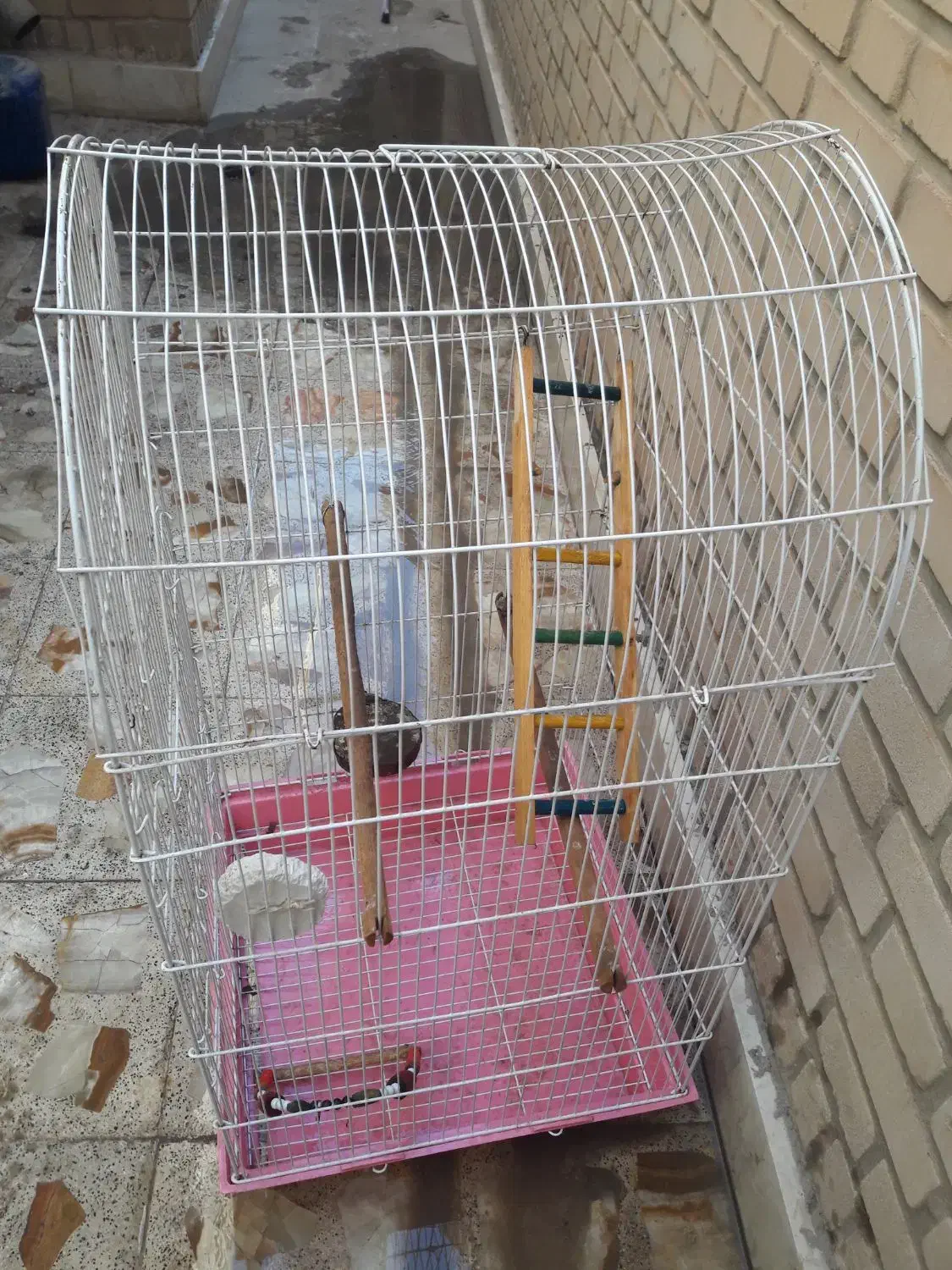 قفس سایزبزرگ 5درب پرنده|لوازم جانبی حیوانات|اهواز, بهارستان|دیوار