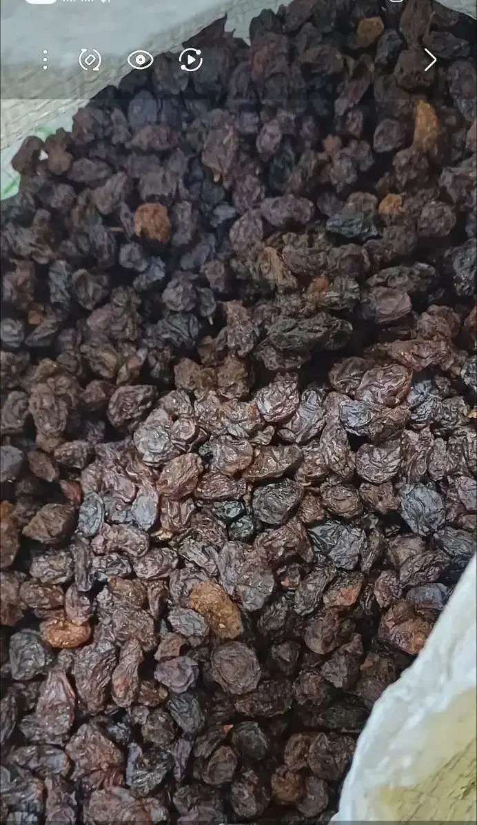 کشمش آفتابی آبگیری|خوردنی و آشامیدنی|ساوه, |دیوار