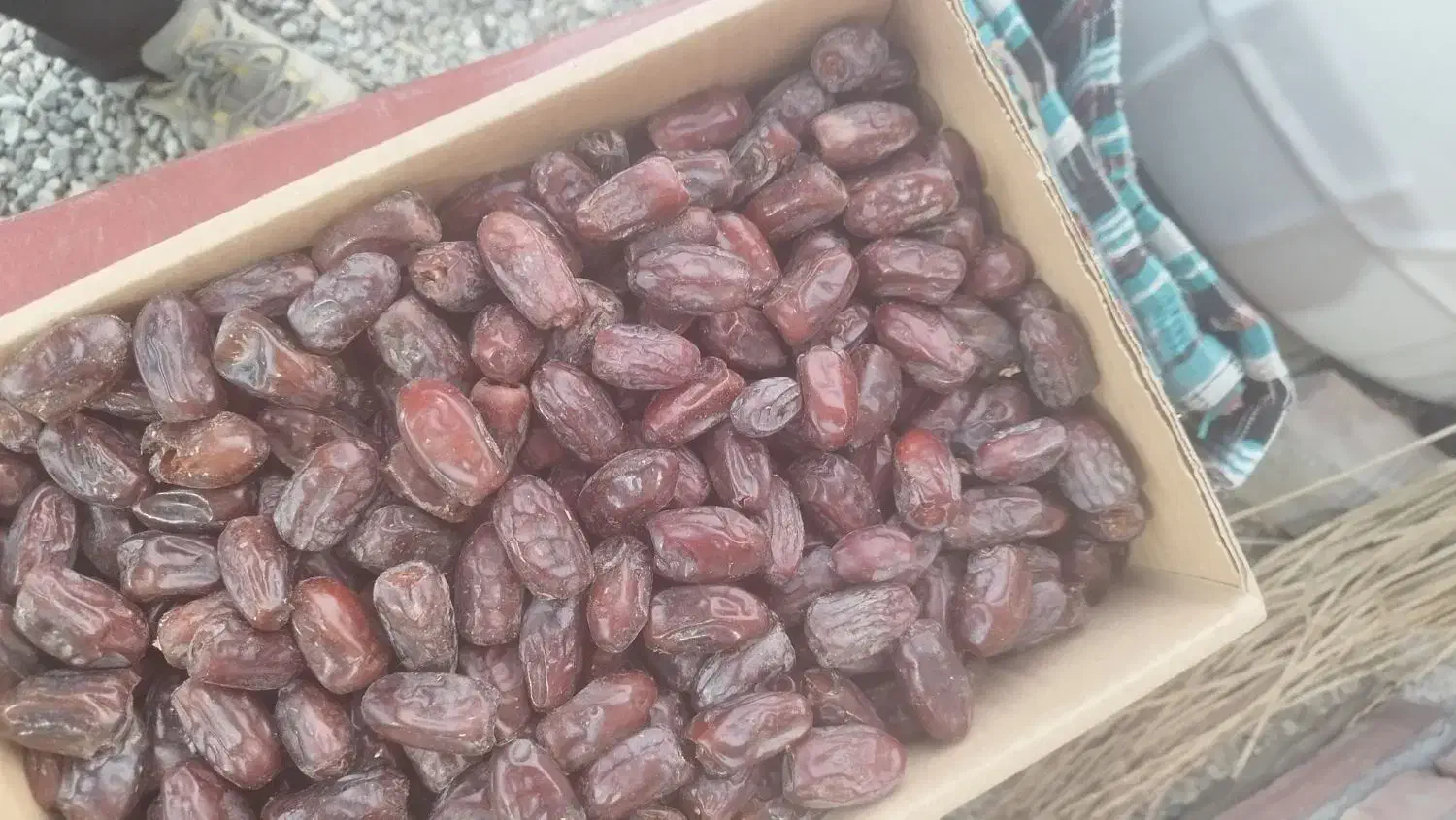 خرما فرض درجه یک تازه|خوردنی و آشامیدنی|منوجان, |دیوار