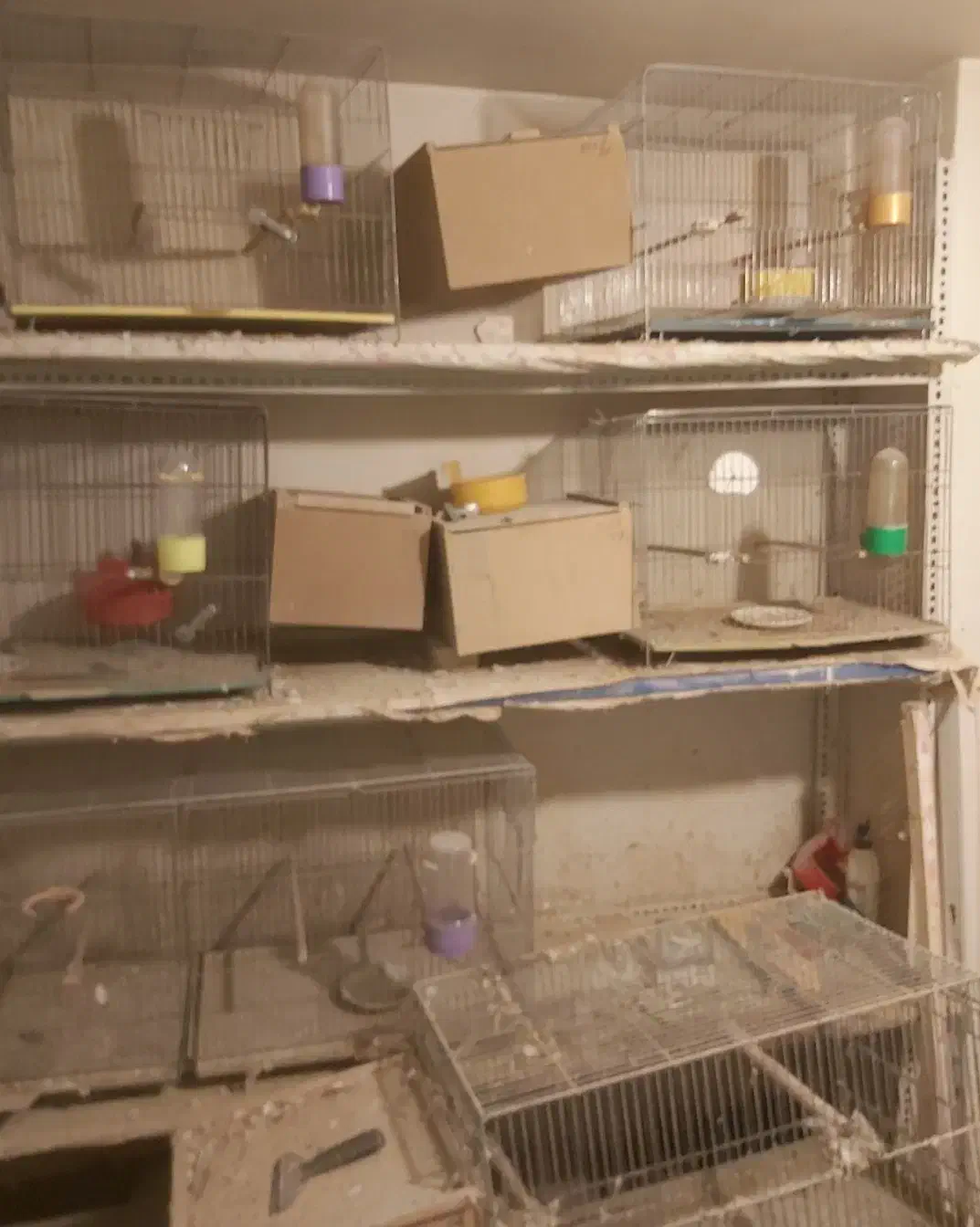 قفس و لانه|لوازم جانبی حیوانات|اصفهان, کشاورزی|دیوار