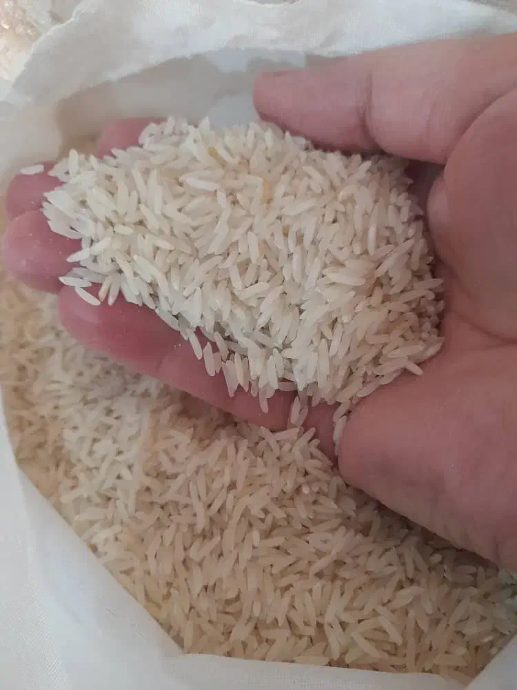 برنج هاشمی کشت دوم درجه یک|خوردنی و آشامیدنی|صوفیان, |دیوار