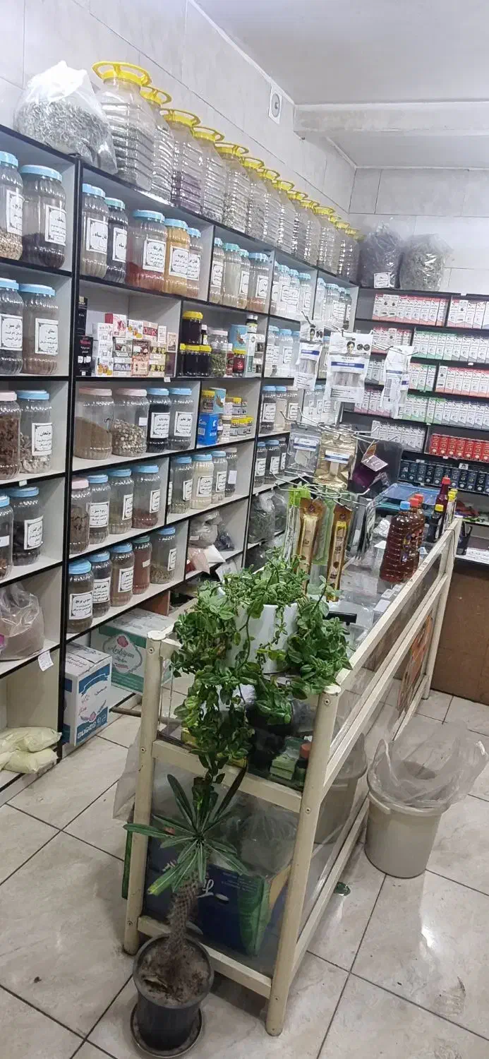 قفسه عطاری|کتابخانه، شلف، قفسههای دیواری|قم, شاه ابراهیم|دیوار