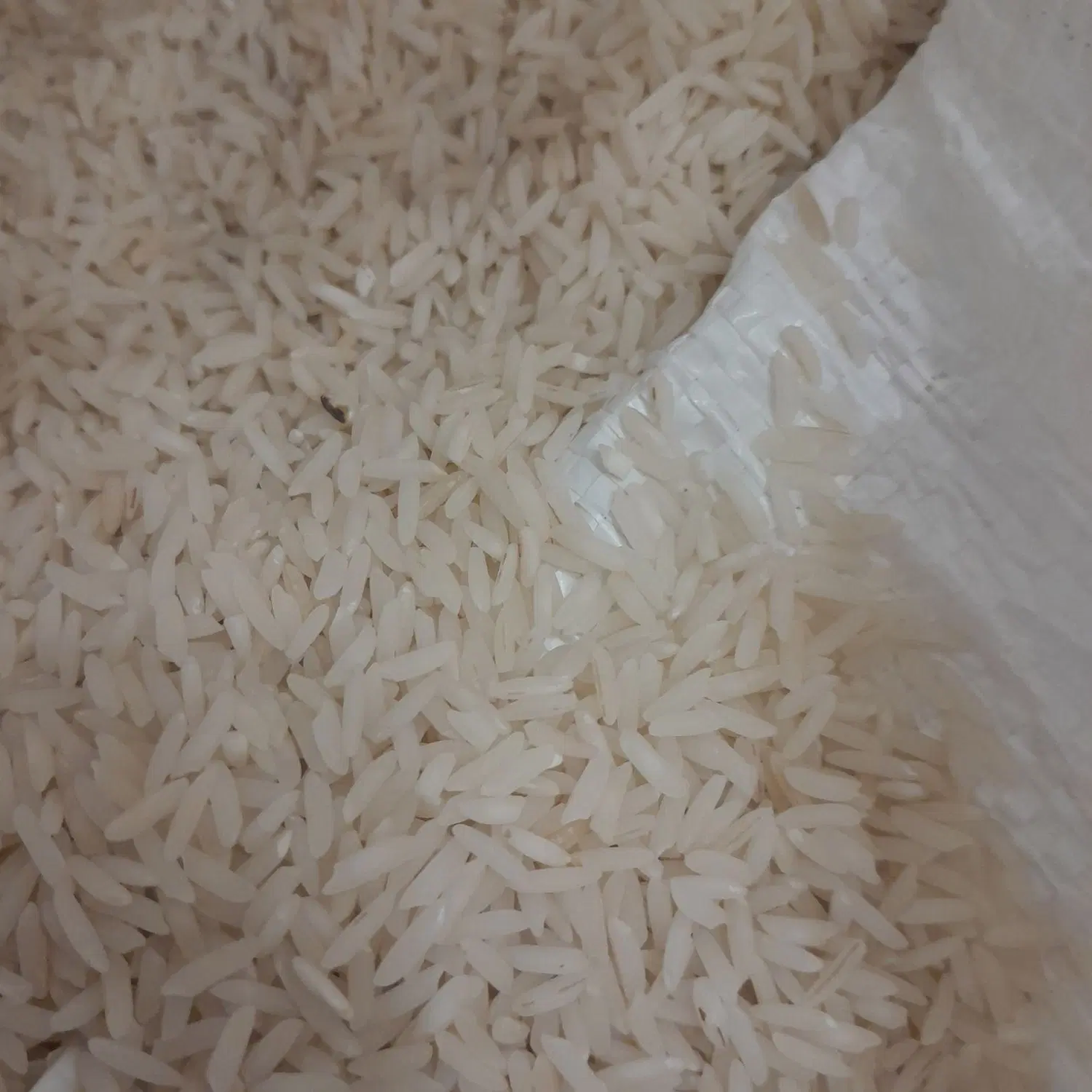 برنج هاشمی|خوردنی و آشامیدنی|تهران, بلوار کشاورز|دیوار