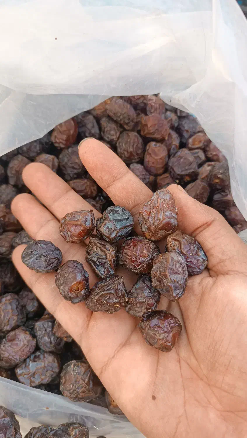 خرمای آجیلی هیلیله|خوردنی و آشامیدنی|خنج, |دیوار