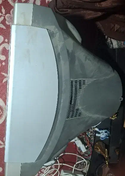 تلویزیون|تلویزیون و پروژکتور|کرمان, |دیوار