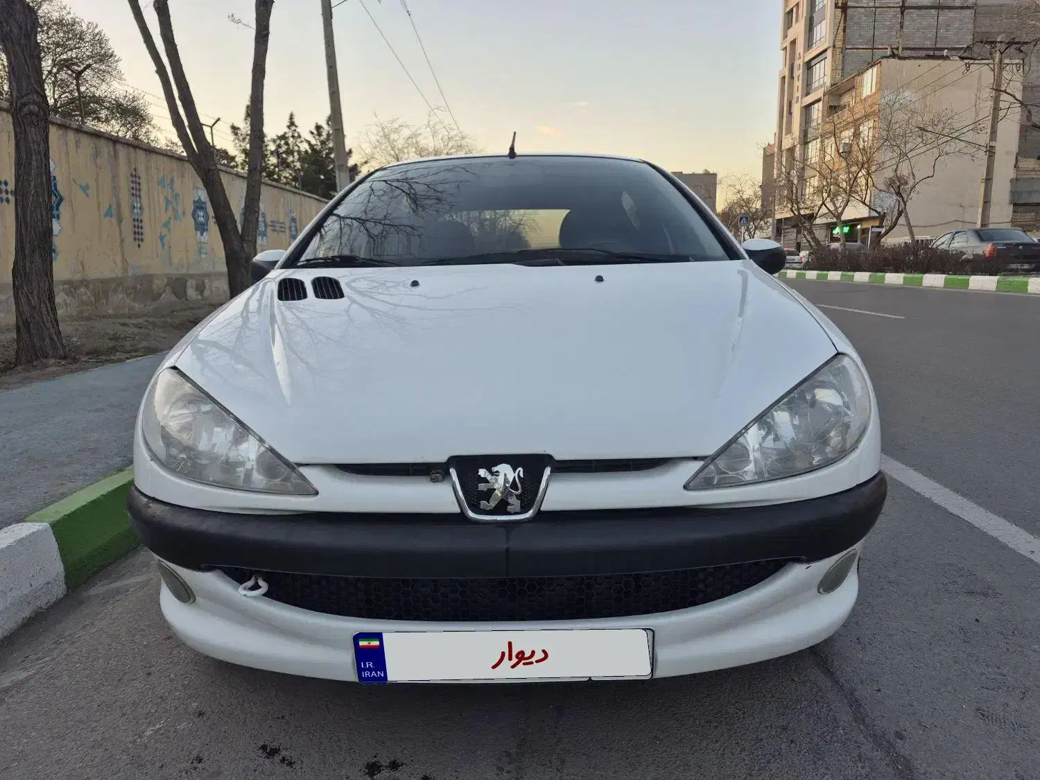 ۲۰۶ تیپ ۲|خودرو سواری و وانت|مشهد, تربیت (صدف)|دیوار