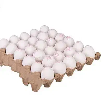 فروش عمده خرده تخم مرغ فله و محلی و بسته بندی|خوردنی و آشامیدنی|ارومیه, |دیوار