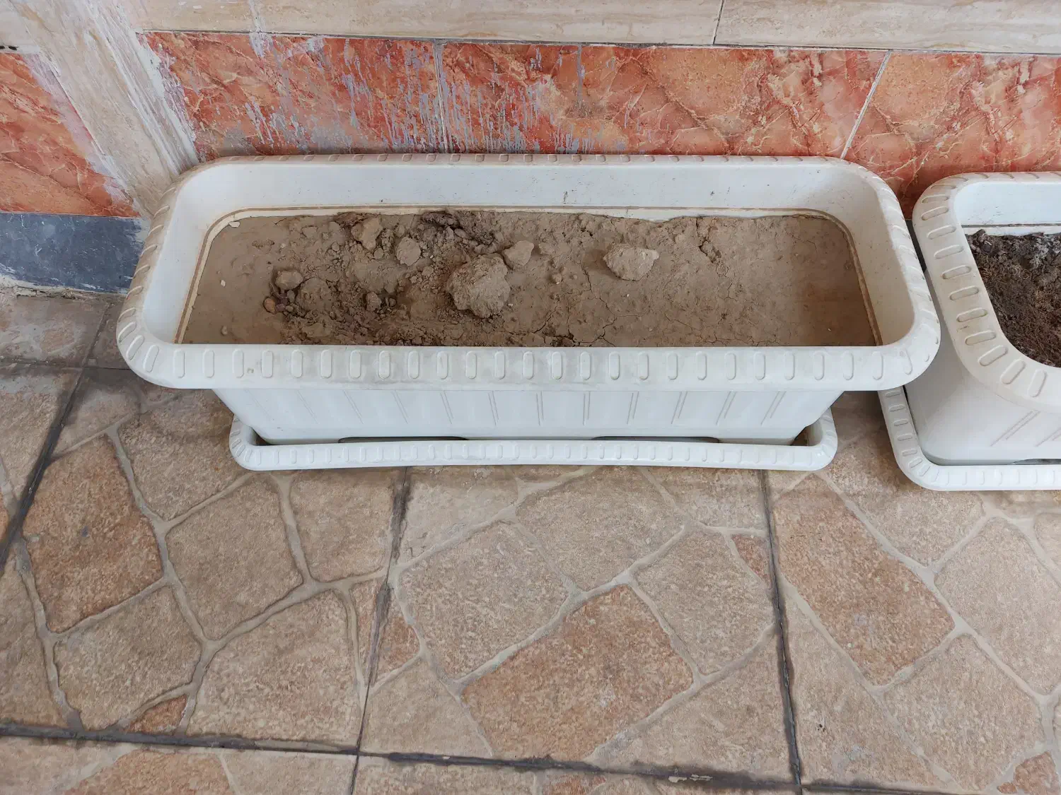 گلدان بزرگ|گل و گیاه طبیعی|اهواز, کوی باهنر|دیوار