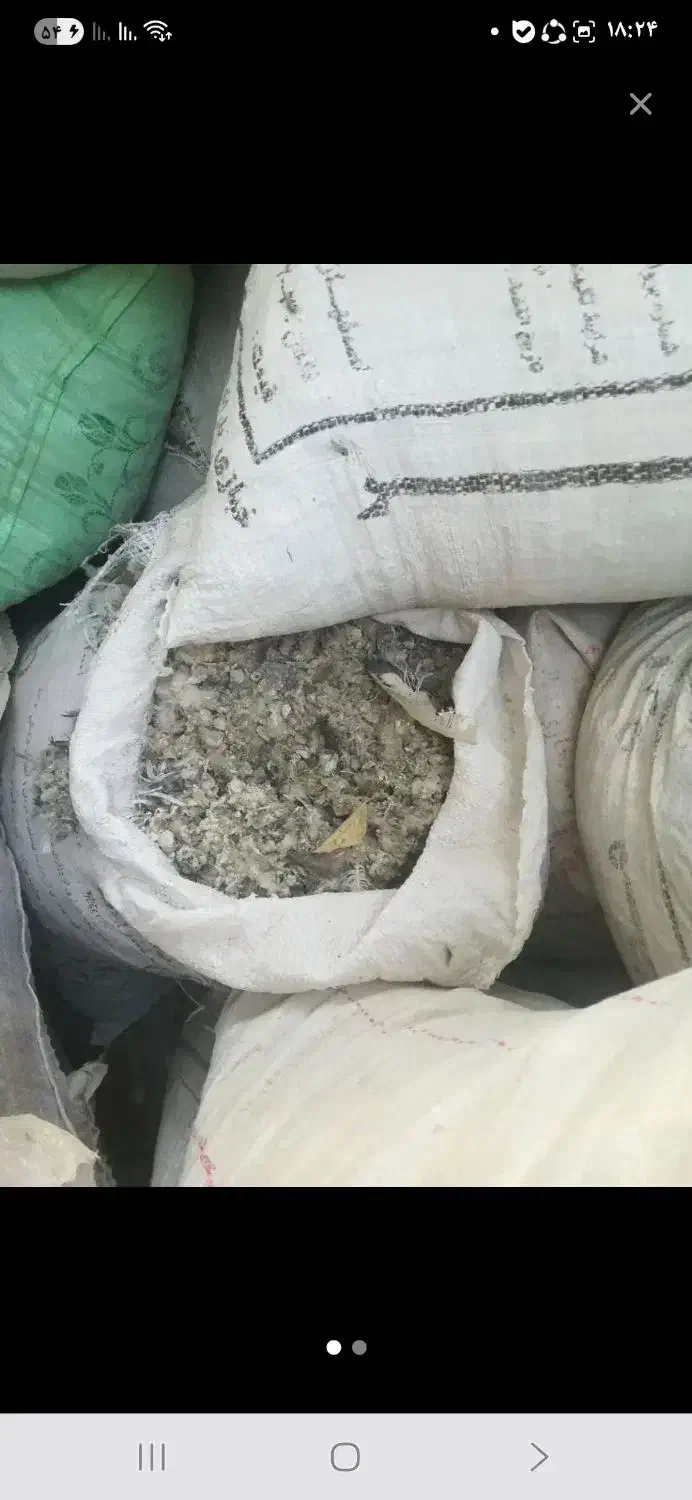 کود کبوتر اصل خشک وتمیز|خدمات باغبانی و درختکاری|باروق, |دیوار