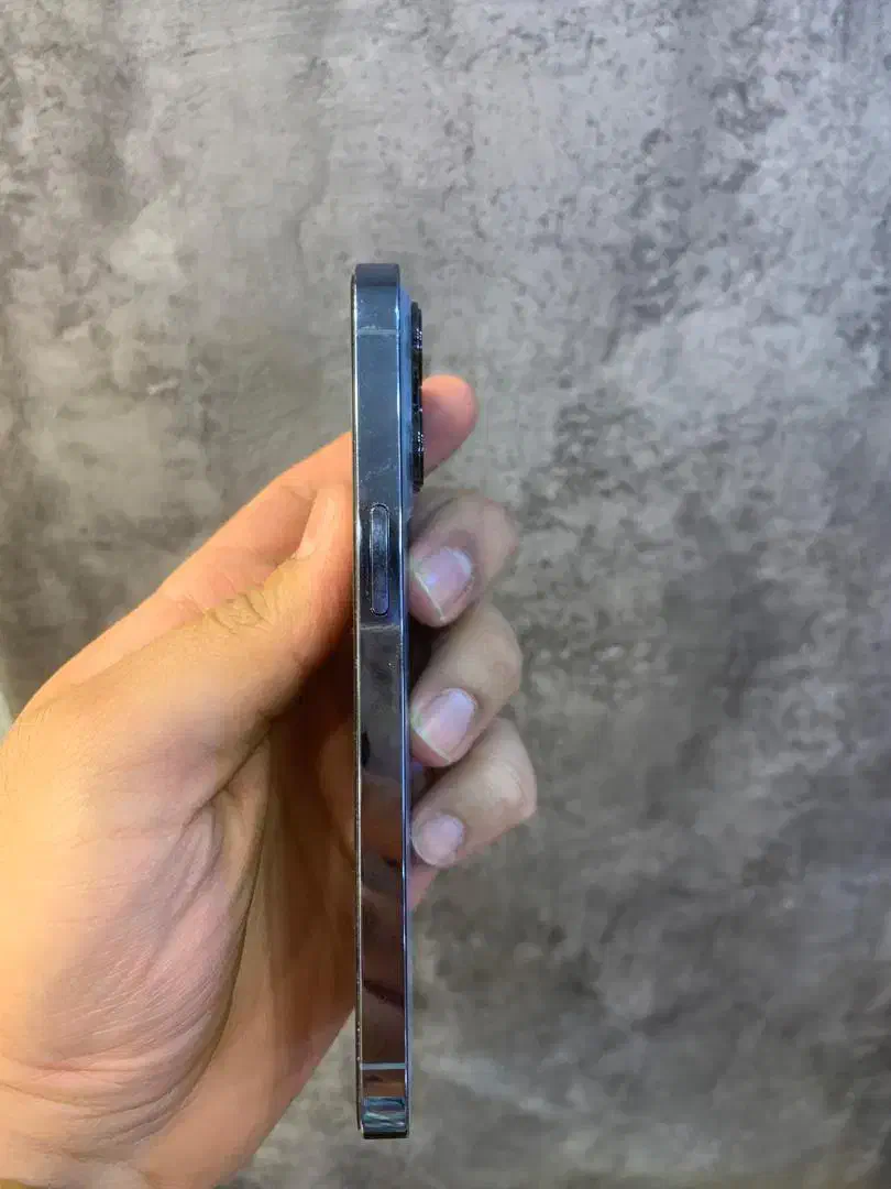 iphone 13 pro 256g|موبایل|مشهد, عنصری|دیوار