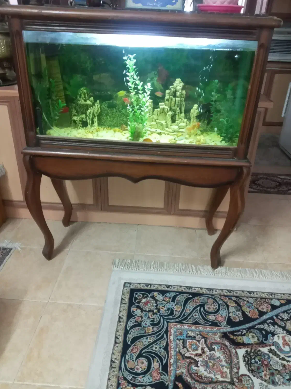 اکواریوم|ماهی|کاشان, درب باغ|دیوار