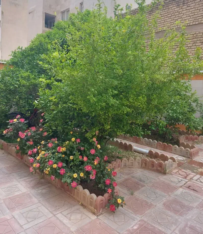 دو خوابه فول امکانات لوکس ۱۱۸ متری|فروش آپارتمان|شیراز, فرگاز|دیوار