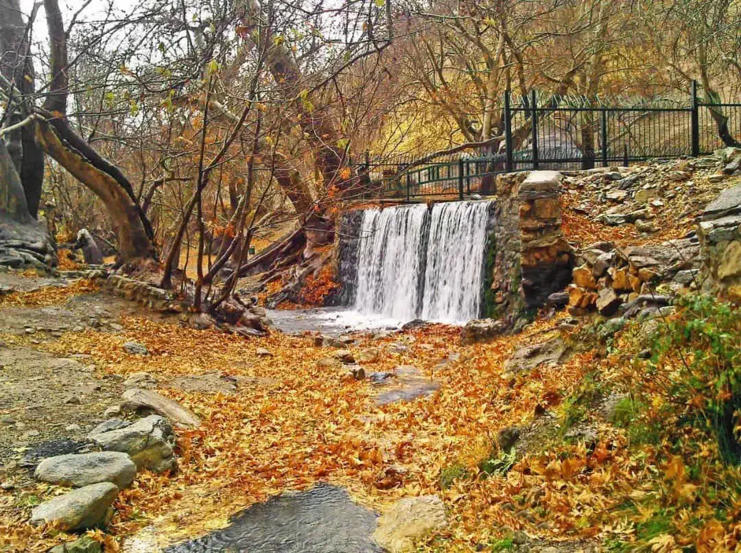 نیاز ب معلم خصوصی پایه چهارم|خدمات آموزشی|گنبد کاووس, |دیوار