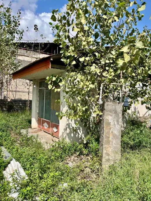 ملک دوکاربردی در شفت زندگی و درآمد کنار هم|فروش خانه و ویلا|شفت, |دیوار