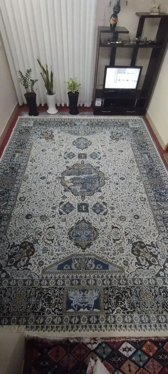 فرش ۱۲متری درحدنو سالم تخفیف دارد|فرش|ساری, |دیوار