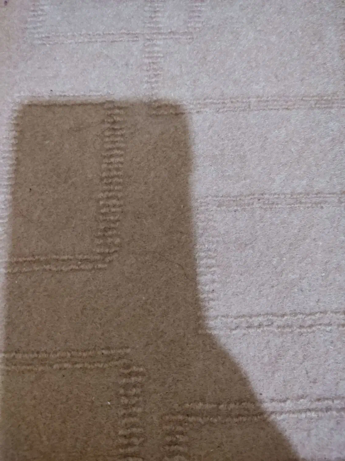 موکت رنگ قهوه‌ای|موکت|اسلام‌‌آباد غرب, |دیوار