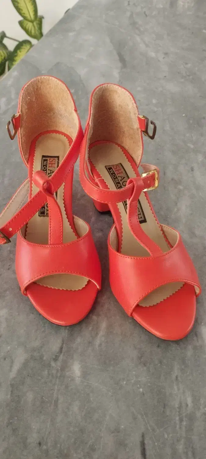 کفش|کیف، کفش، کمربند|پیرانشهر, |دیوار