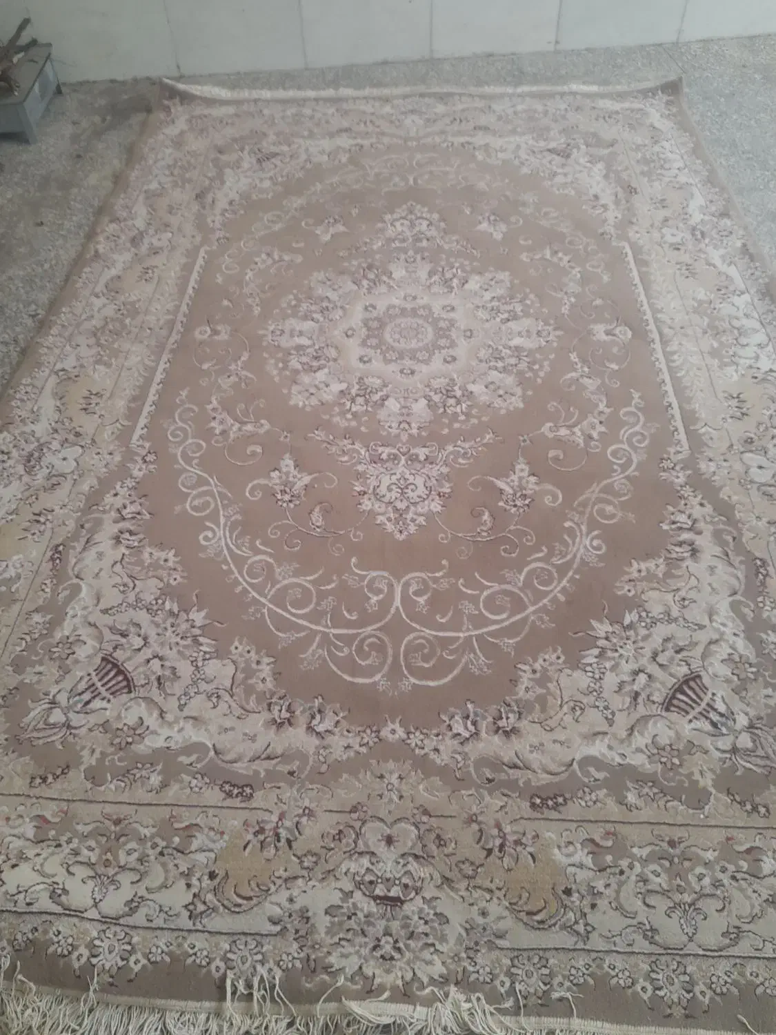 فروش فرش ۶متری|فرش|املش, |دیوار