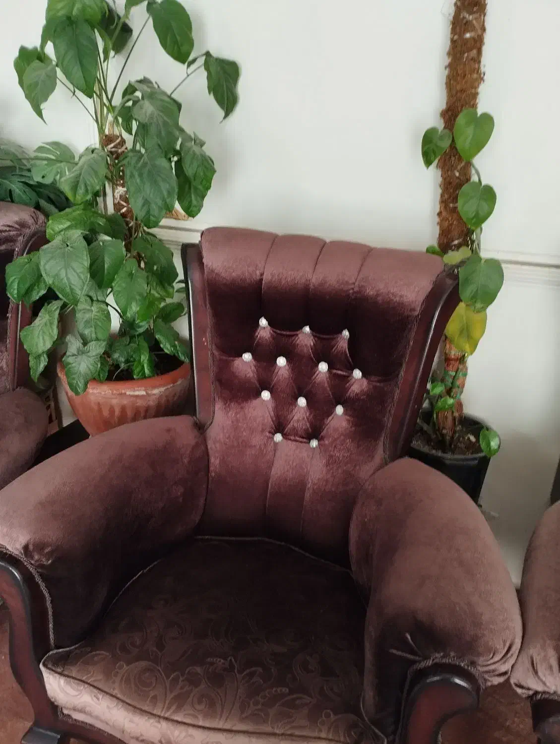 مبل مخمل|مبلمان خانگی و میز عسلی|اصفهان, شاهد|دیوار