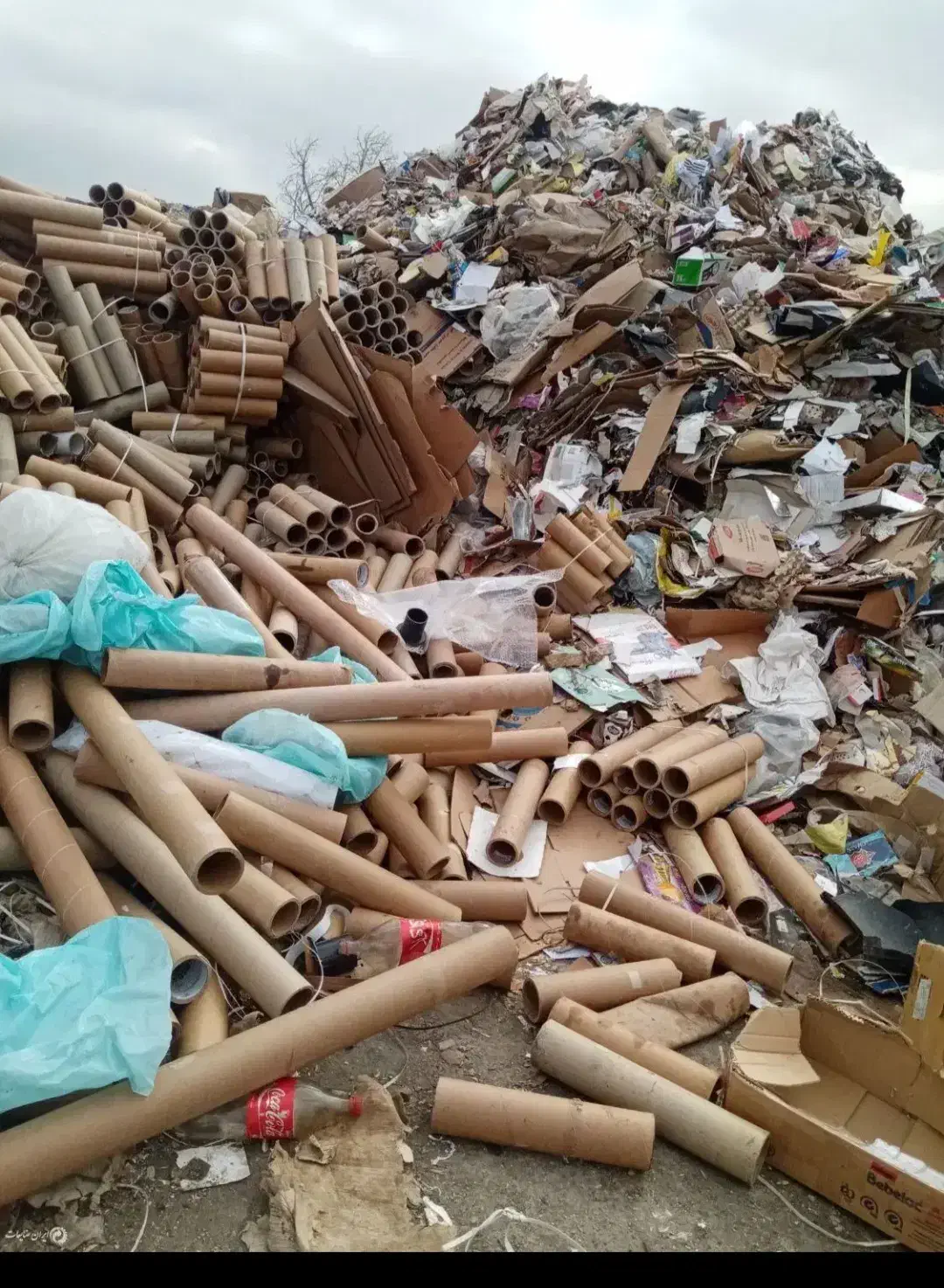 خرید وفروش کتاب و کارتن و اهن|عمده‌فروشی|مشهد, دانشجو|دیوار