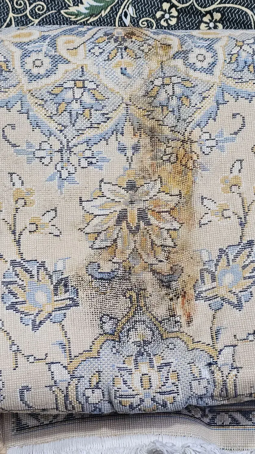 فرش ۶ متری|فرش|تهران, جوادیه تهرانپارس|دیوار