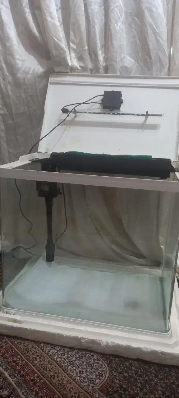 آکواریوم شیشه خم دلسا مدل k500|ماهی|هشتگرد, فاز ۲ مهستان|دیوار