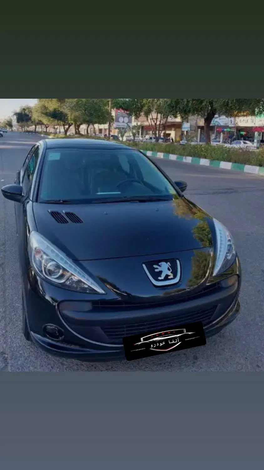 ۲۰۷پانا مدل ۴۰۱بیرنگ*(نقدواقساط)*|خودرو سواری و وانت|تهران, تهرانپارس جنوبی|دیوار