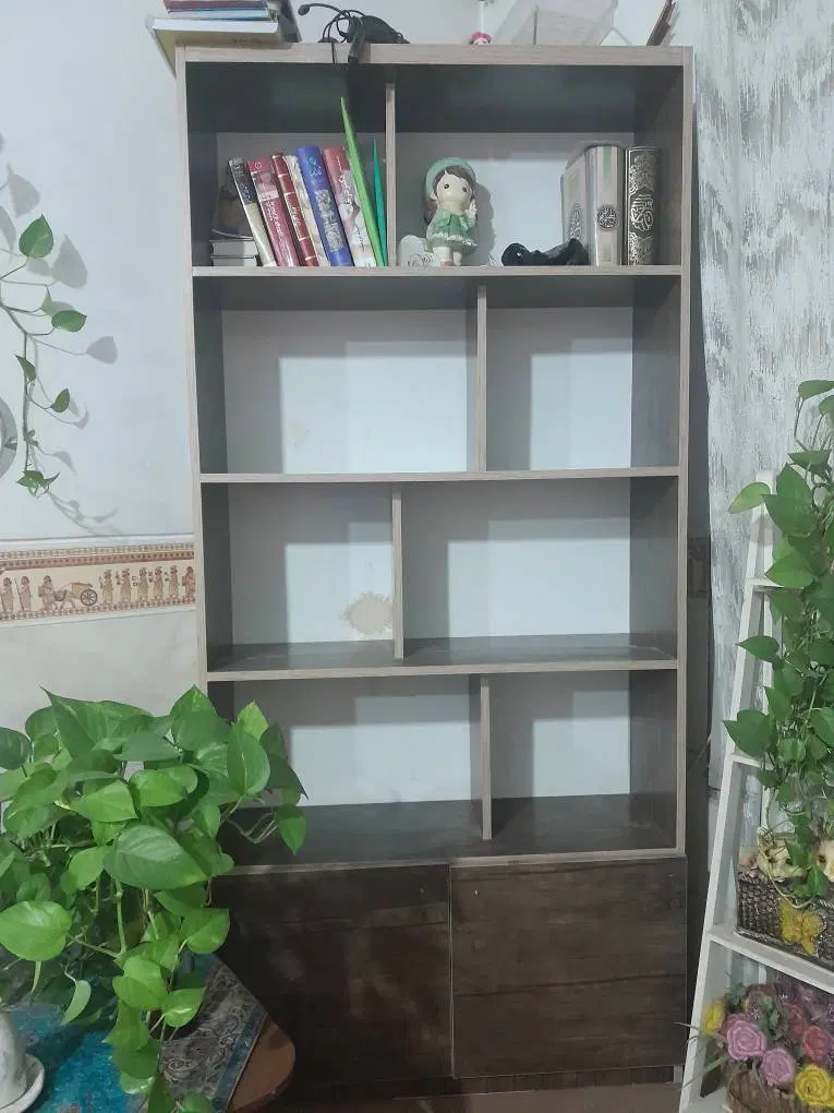 کتابخانه|کتابخانه، شلف، قفسههای دیواری|شیراز, گل سرخ|دیوار