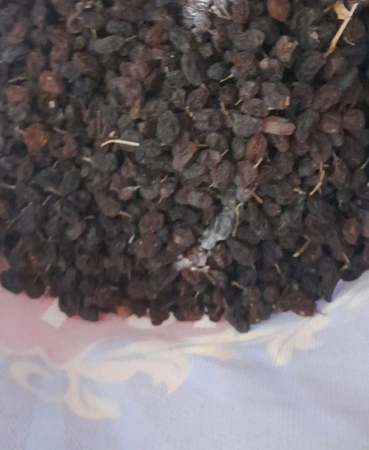 کشمش|خوردنی و آشامیدنی|بناب, |دیوار