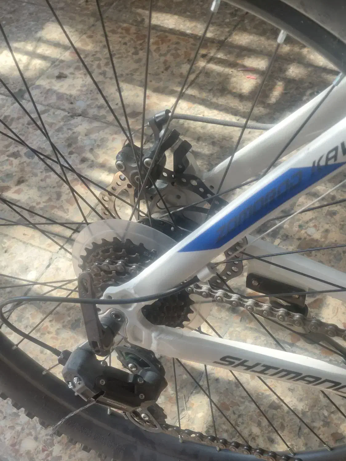 دو چرخه فونیکس|دوچرخه، اسکیت، اسکوتر|فولادشهر, B1|دیوار