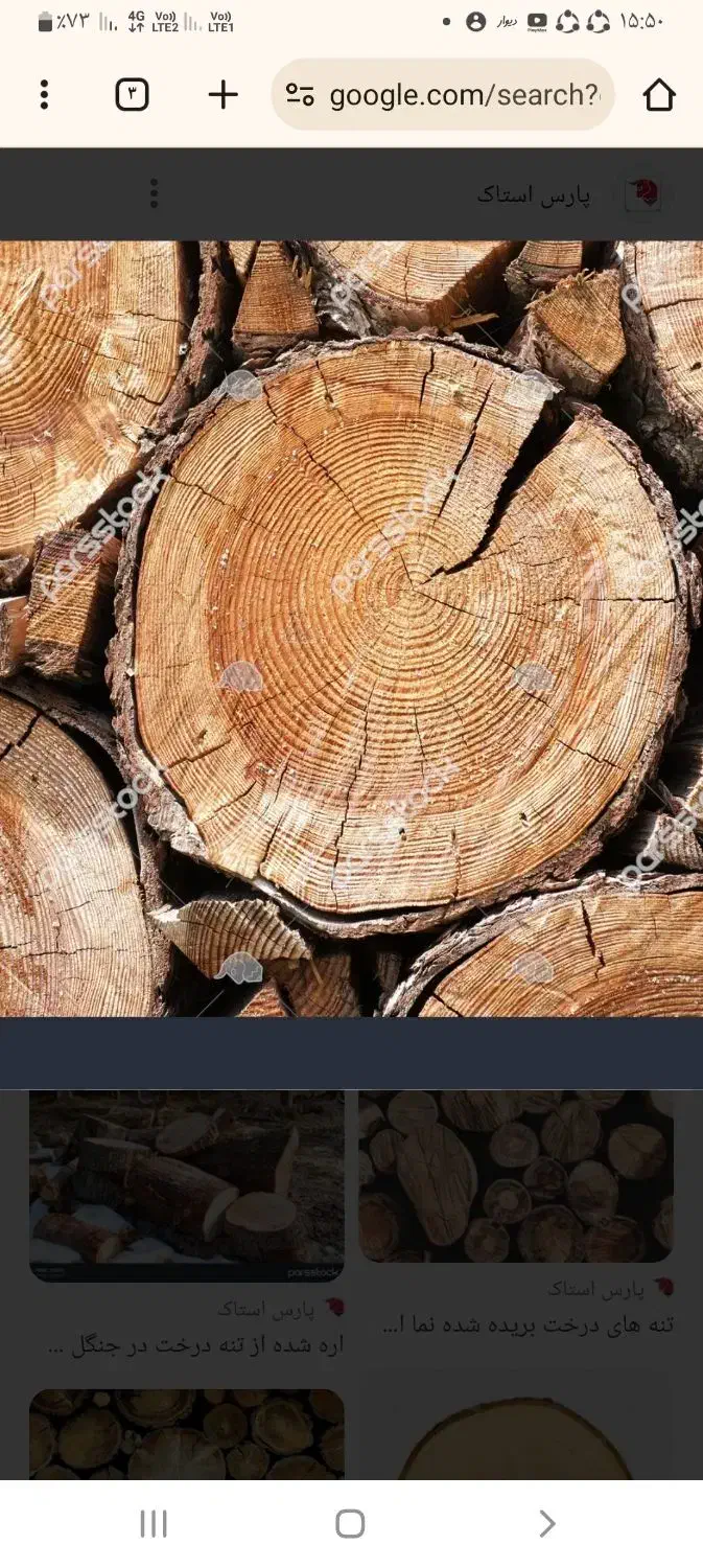 انواع درخت شمارا با بالاترین قیمت خریدارم|خدمات باغبانی و درختکاری|سنندج, |دیوار